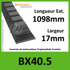 Courroie BX40.5 - Continental