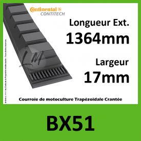 Courroie BX51 - Continental