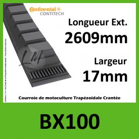 Courroie BX100 - Continental