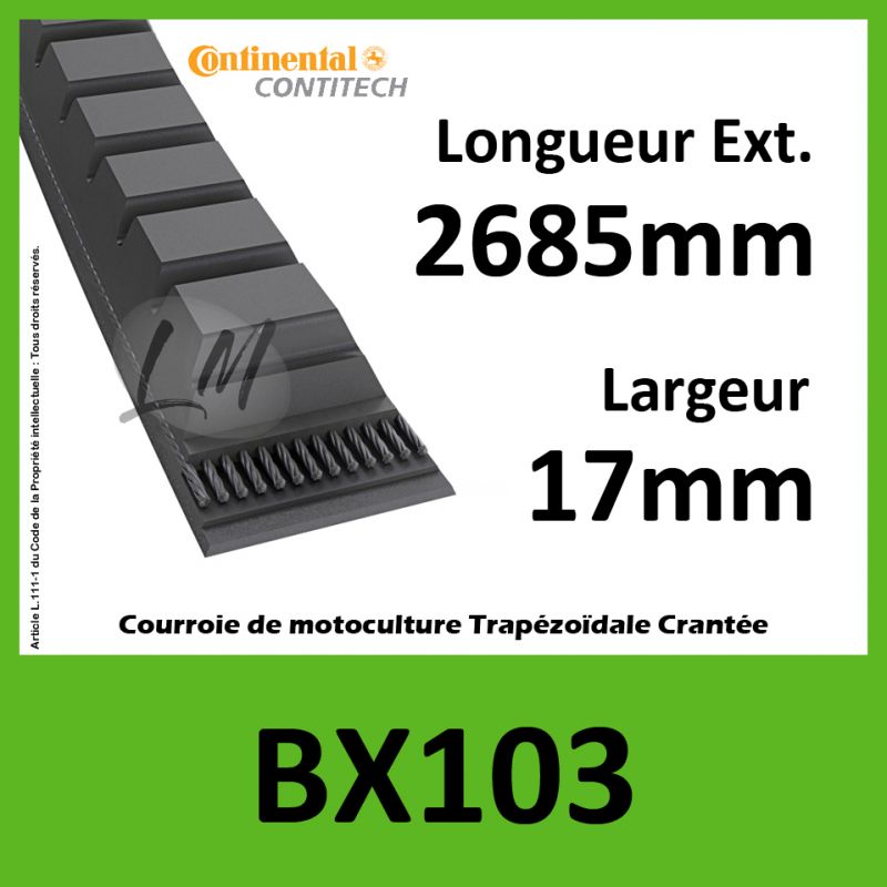 Courroie BX103 - Continental