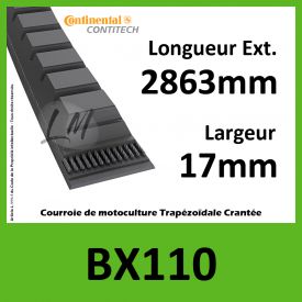 Courroie BX110 - Continental