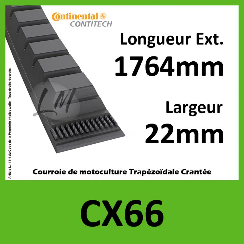 Courroie CX066 - Continental