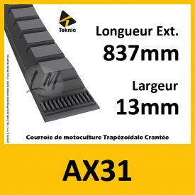 Courroie AX31 - Teknic