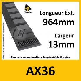 Courroie AX36 - Teknic