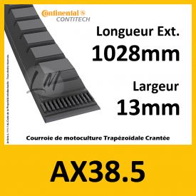 Courroie AX38.5 - Teknic