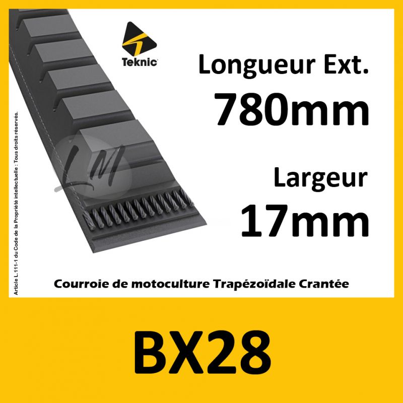 Courroie BX28 - Teknic