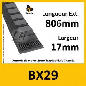 Courroie BX29 - Teknic