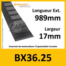 Courroie BX36.25 - Teknic