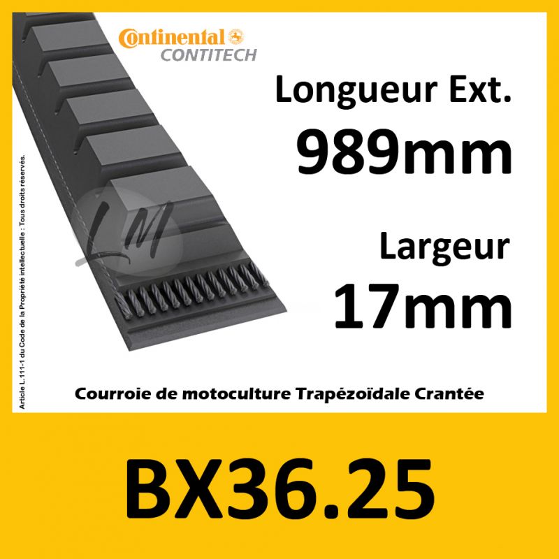 Courroie BX36.25 - Teknic