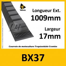 Courroie BX37 - Teknic