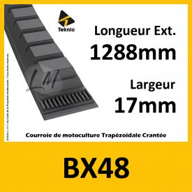 Courroie BX48 - Teknic