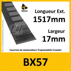 Courroie BX57 - Teknic