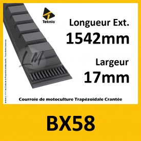 Courroie BX58 - Teknic