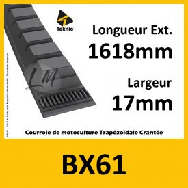 Courroie BX61 - Teknic