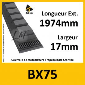 Courroie BX75 - Teknic