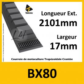 Courroie BX80 - Teknic
