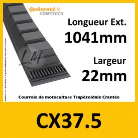 Courroie CX37.5 - Teknic