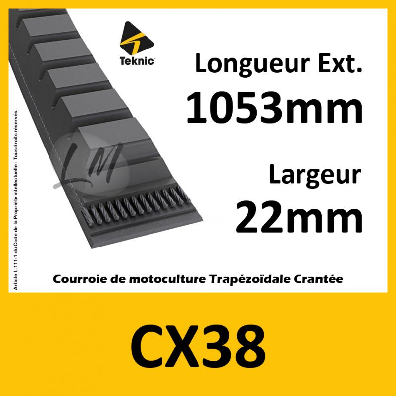 Courroie CX38 - Teknic