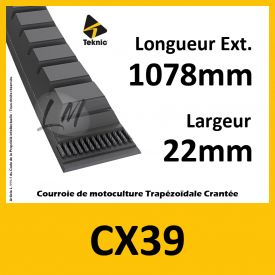 Courroie CX39 - Teknic