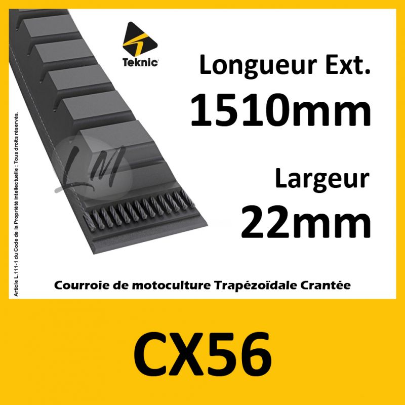 Courroie CX56 - Teknic