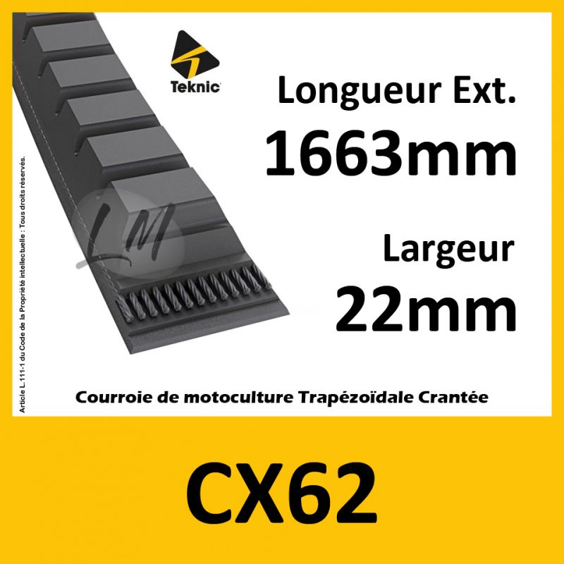 Courroie CX62 - Teknic