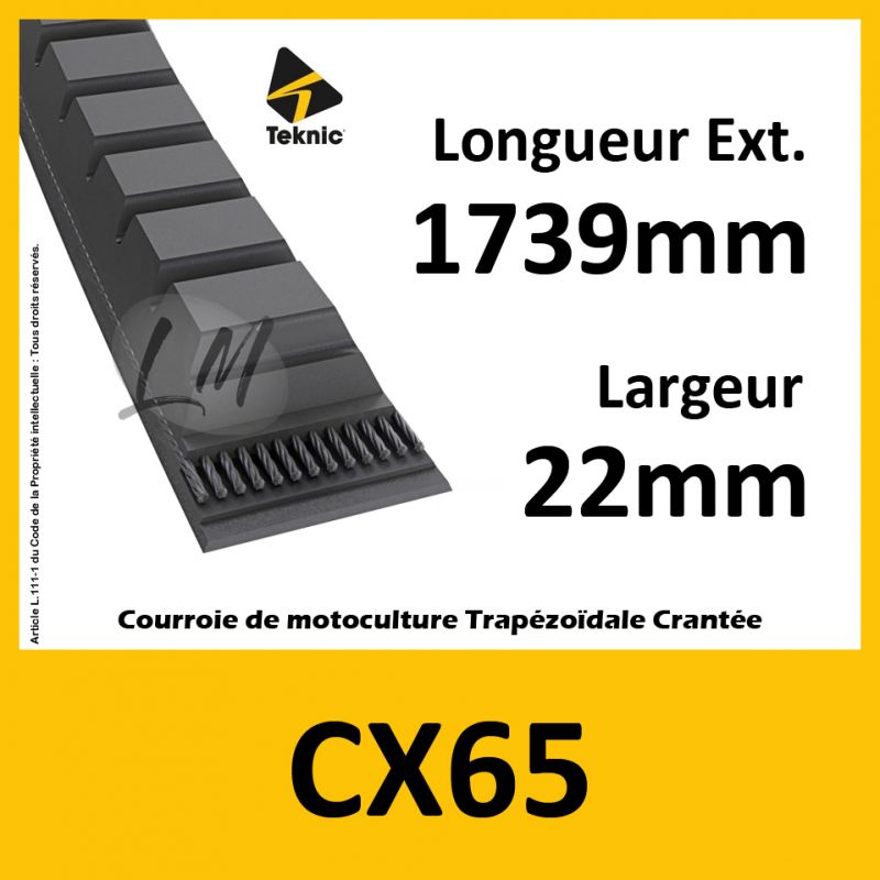 Courroie CX65 - Teknic