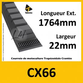 Courroie CX66 - Teknic