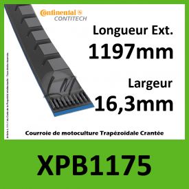 Courroie XPB1175 - Continental Pioneer