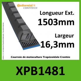 Courroie XPB1481 - Continental Pioneer