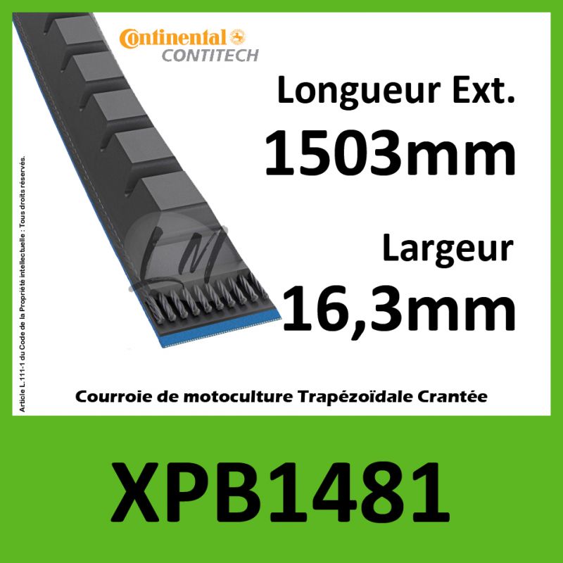 Courroie XPB1481 - Continental Pioneer