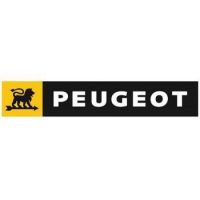 Courroie pour Ponceuse et Rabot Peugeot | La-Motoculture.fr