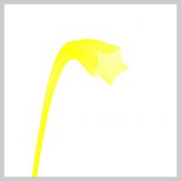 Yellow Étoilé